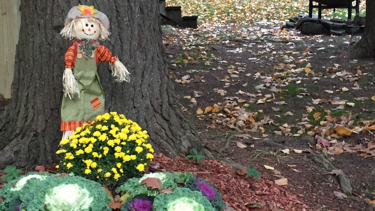 Photo of Outdoor in Worcester