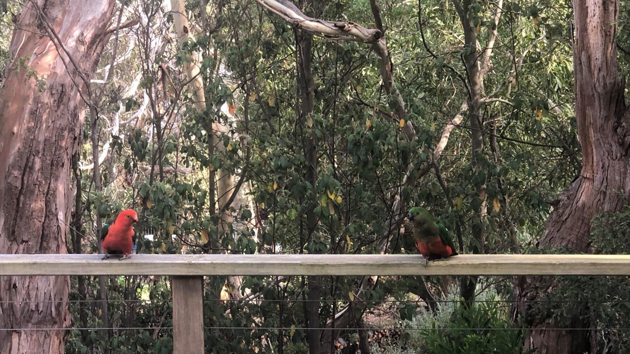 Photo of Others in Aireys Inlet