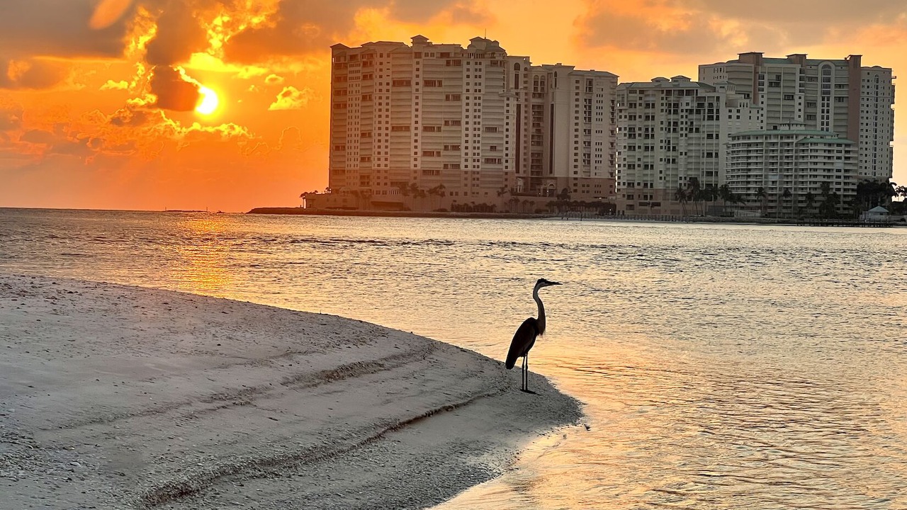 Photo of Others in Marco Island
