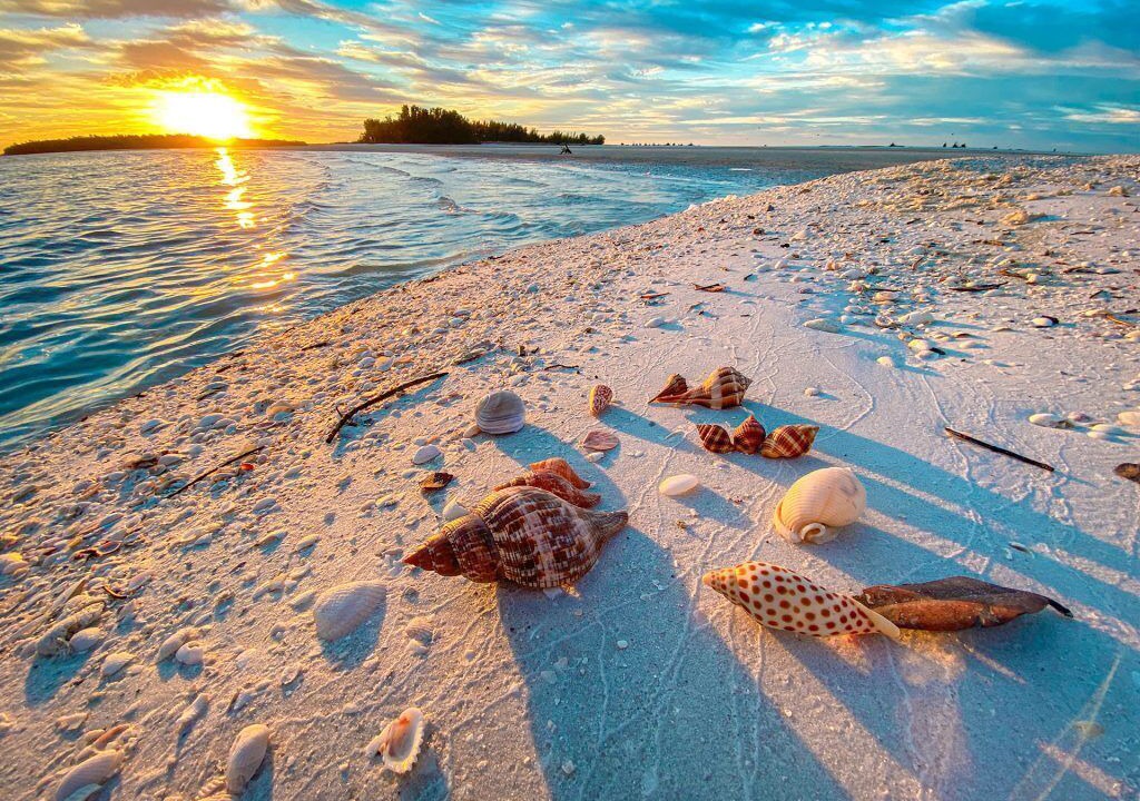 Photo of Others in Marco Island