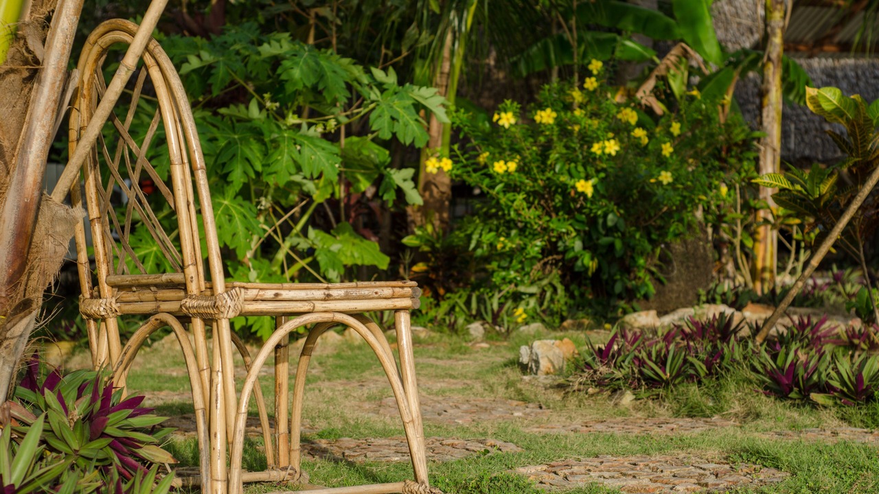 Photo of Outdoor in Busuanga