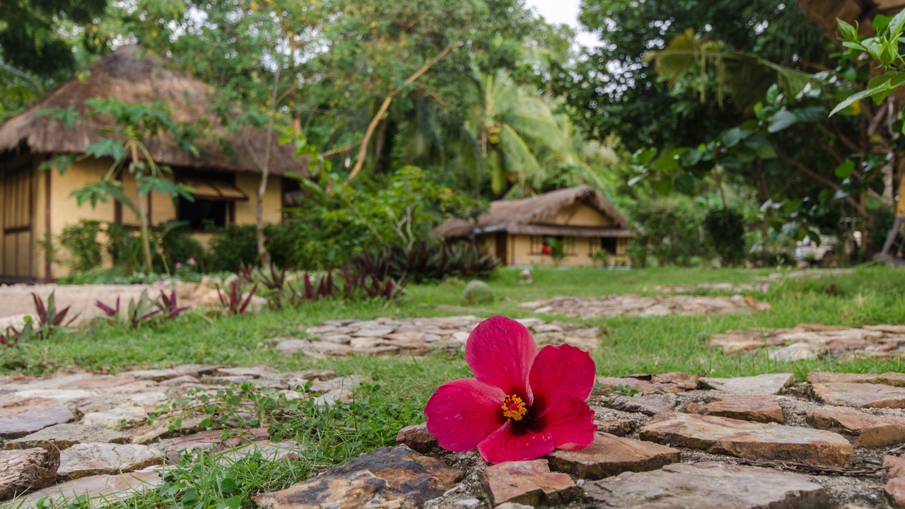 Photo of Outdoor in Busuanga