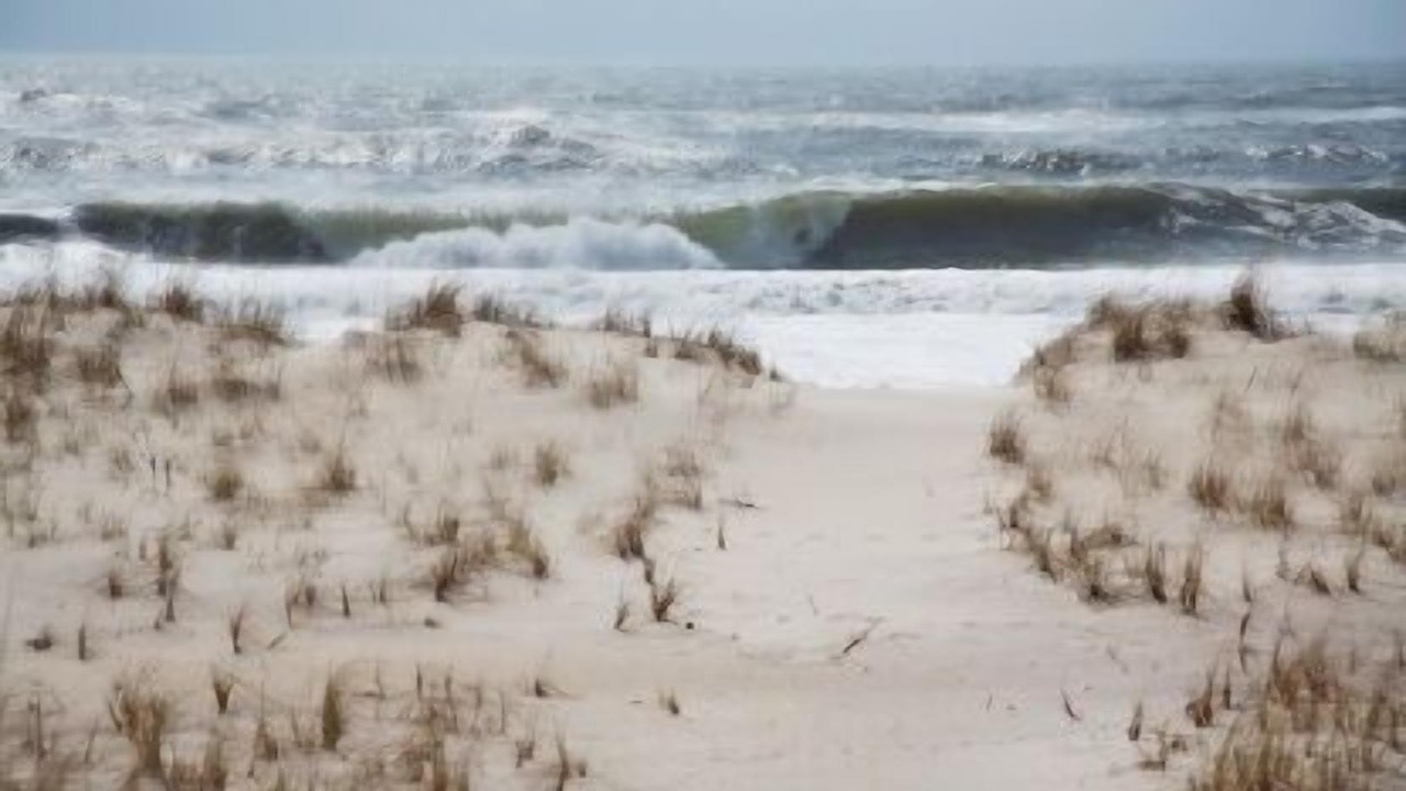 Photo of Others in Westhampton Beach