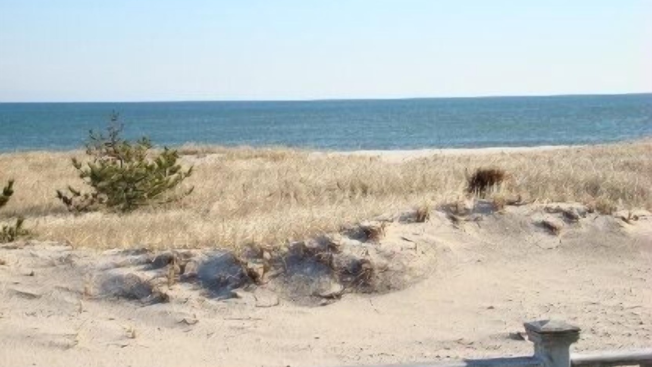 Photo of Others in Westhampton Beach
