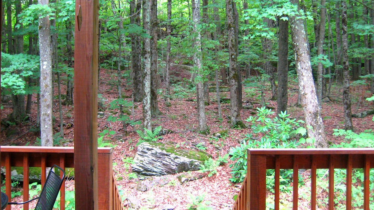 Photo of Others in Haines Falls