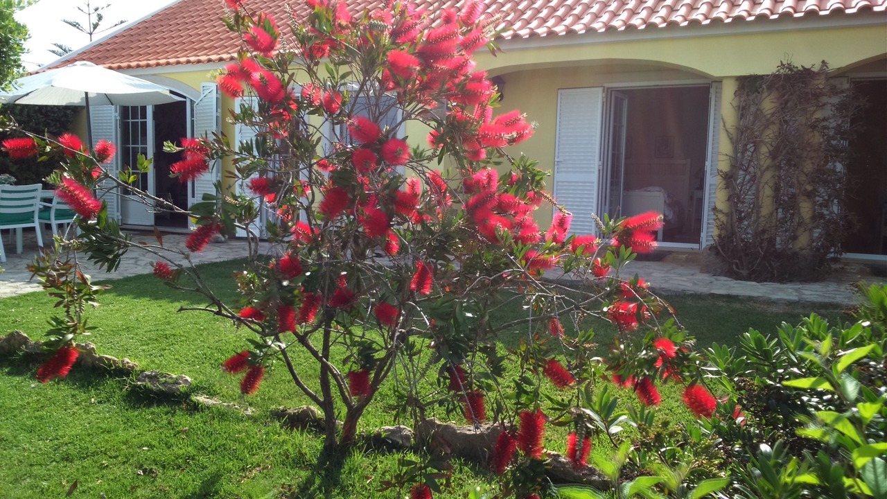 Photo of Outdoor in Azenhas do Mar