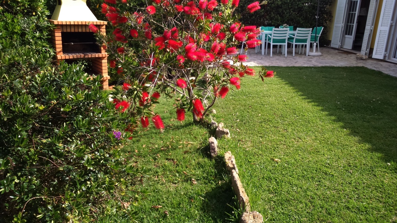 Photo of Outdoor in Azenhas do Mar