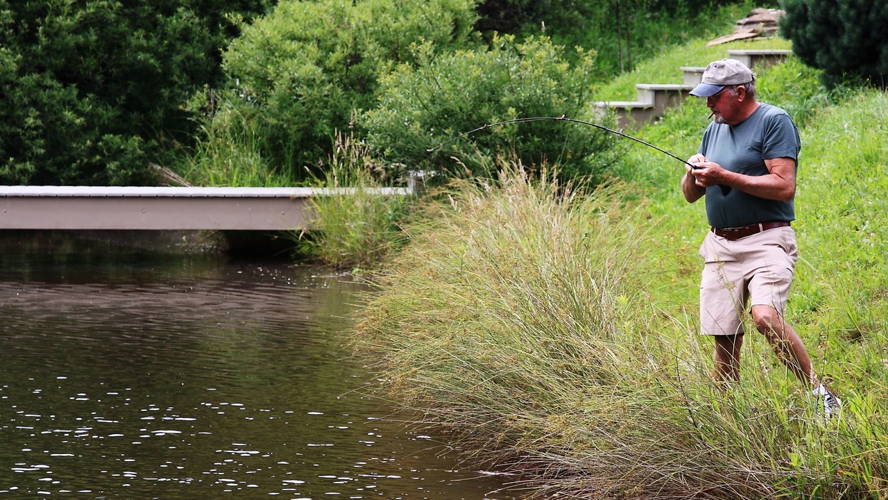 Photo of Others in Grassy Creek