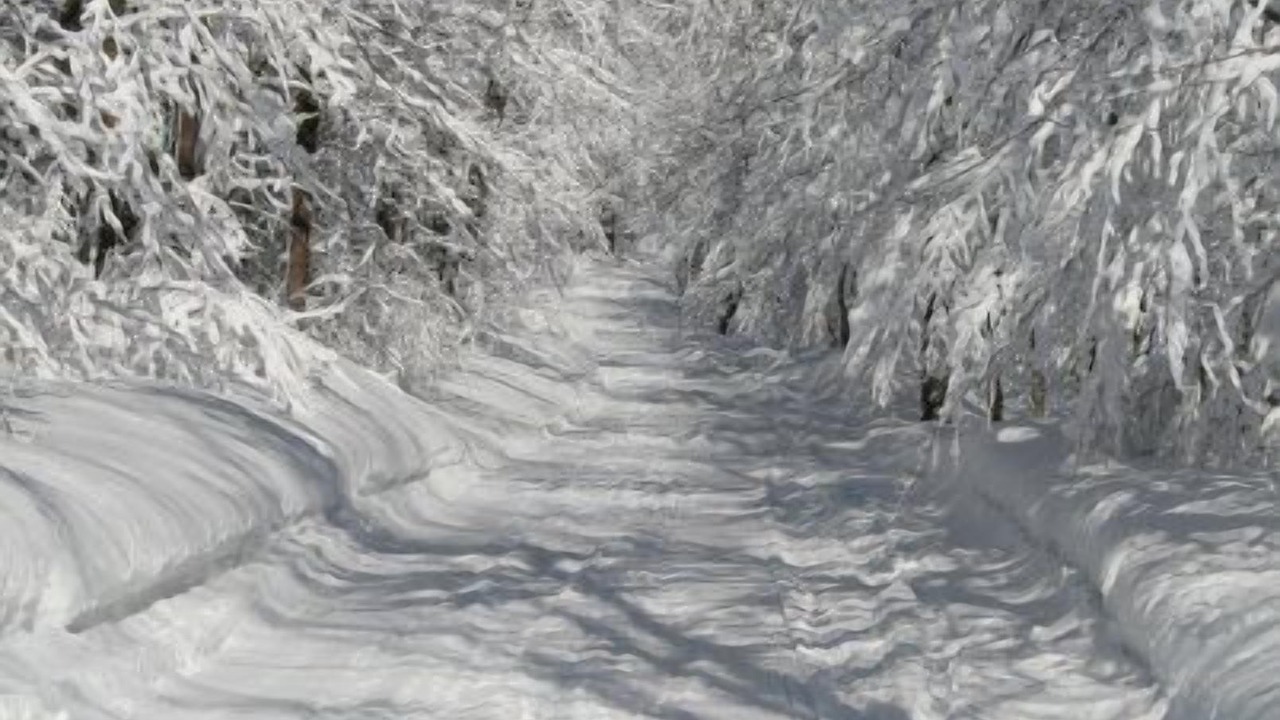 Photo of Others in South Rutland