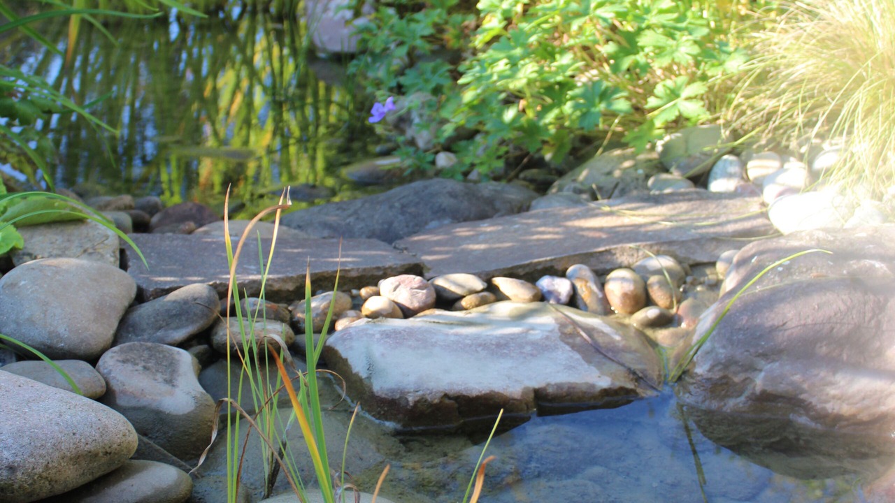 Photo of Outdoor in Dornach