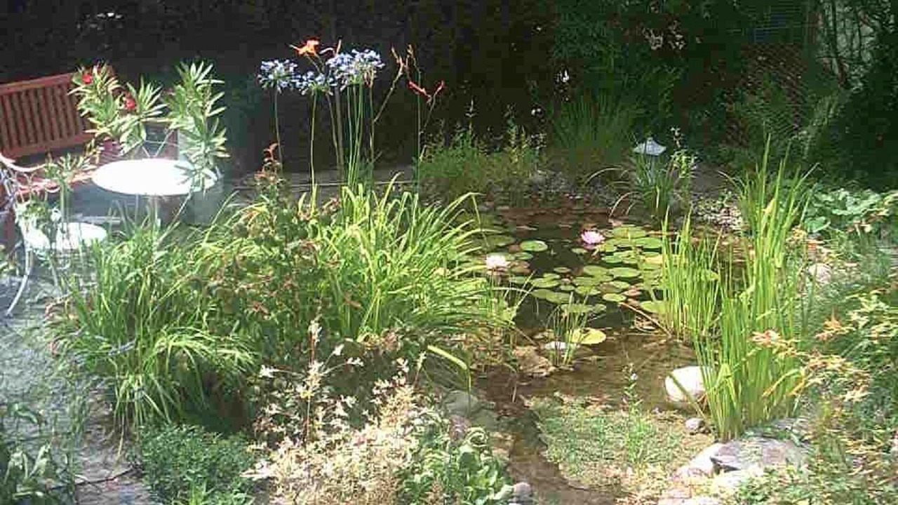Photo of Outdoor in Dornach