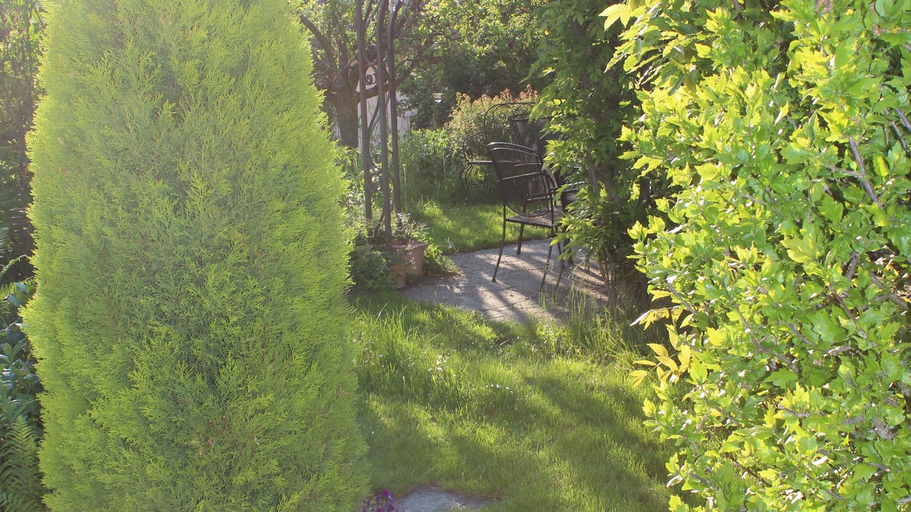 Photo of Outdoor in Dornach