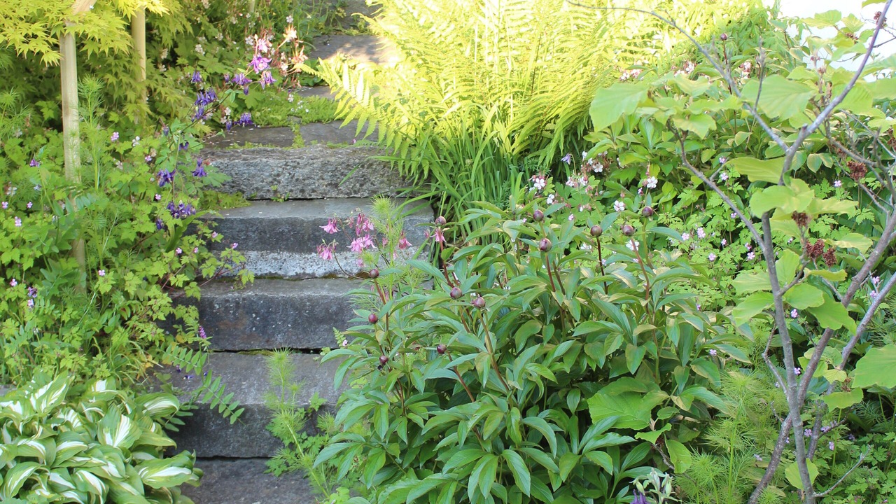 Photo of Outdoor in Dornach