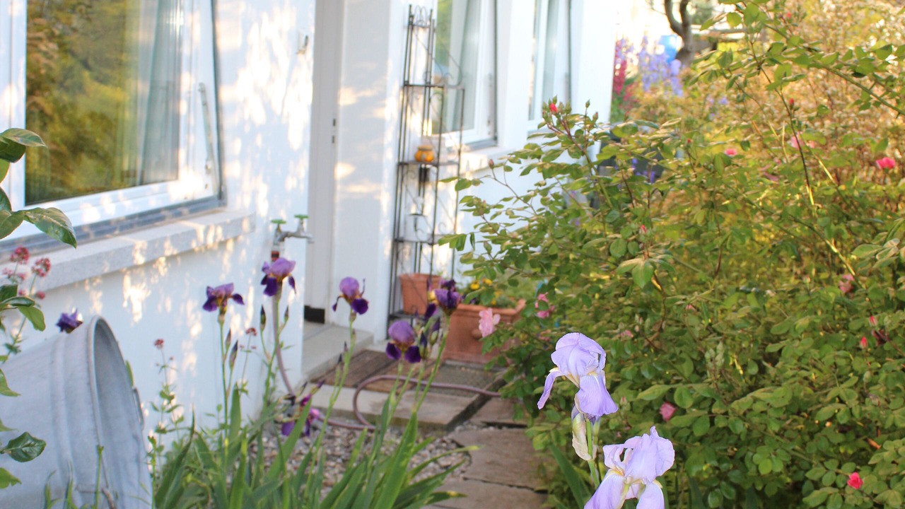Photo of Outdoor in Dornach