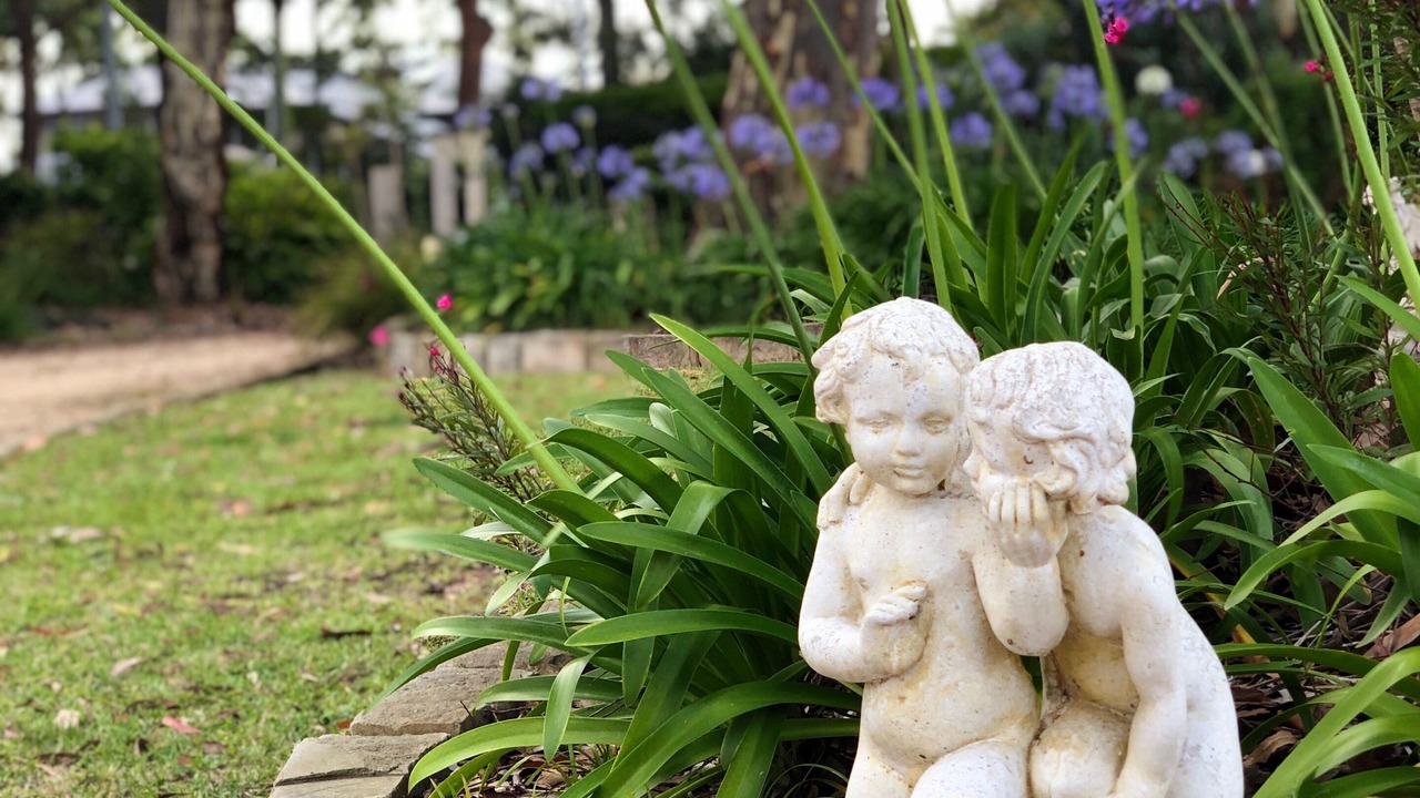 Photo of Outdoor in Ingleside
