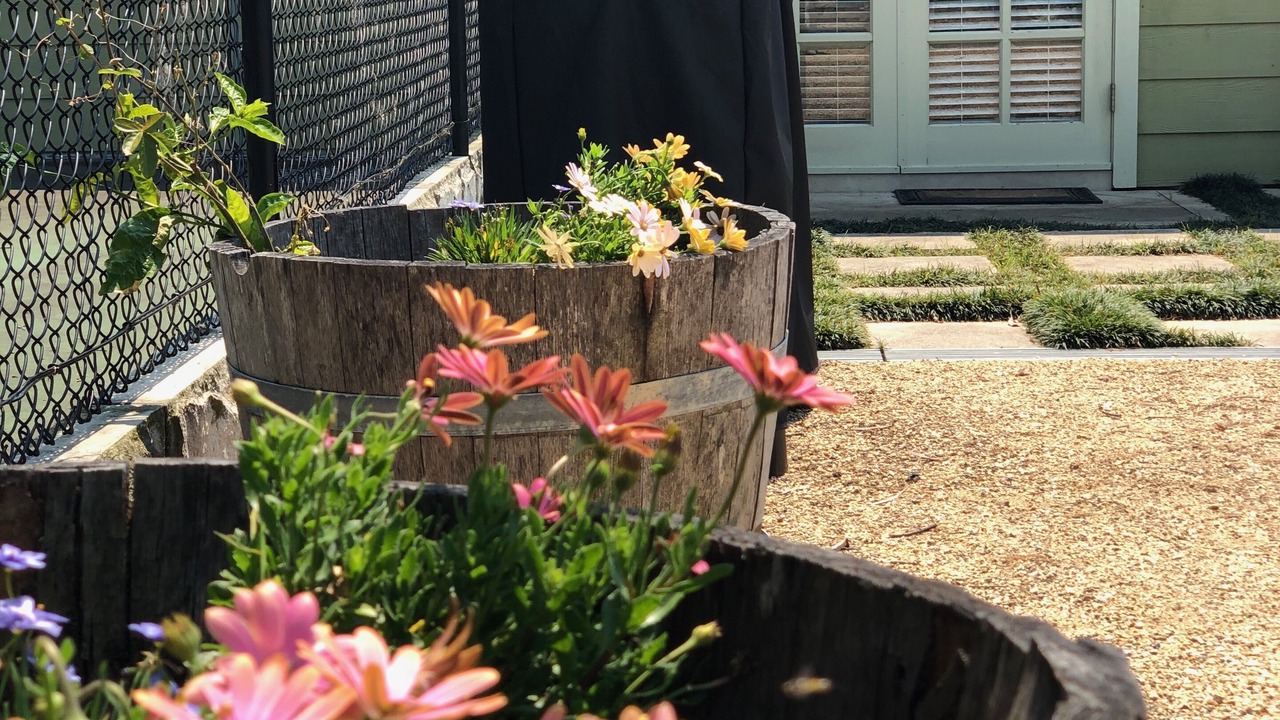 Photo of Outdoor in Ingleside