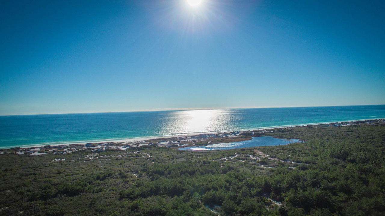 Photo of Others in Dune Allen Beach