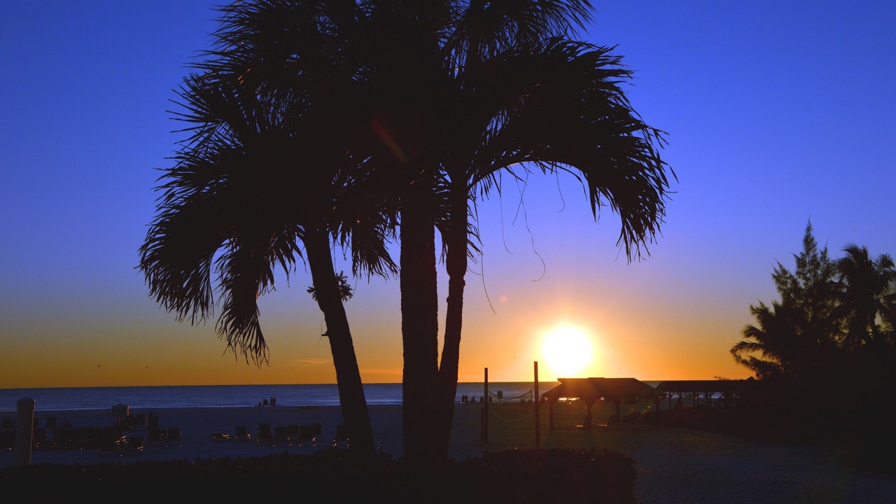 Photo of Others in Siesta Key