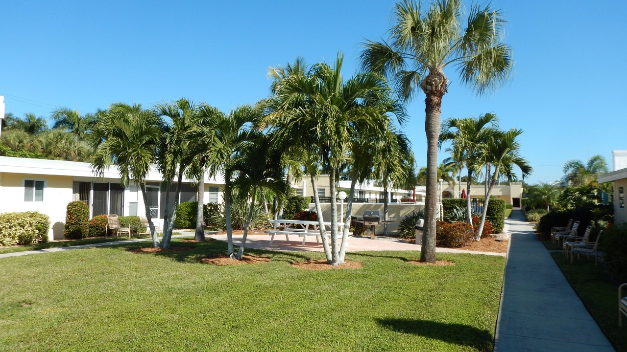 Photo of Outdoor in Siesta Key