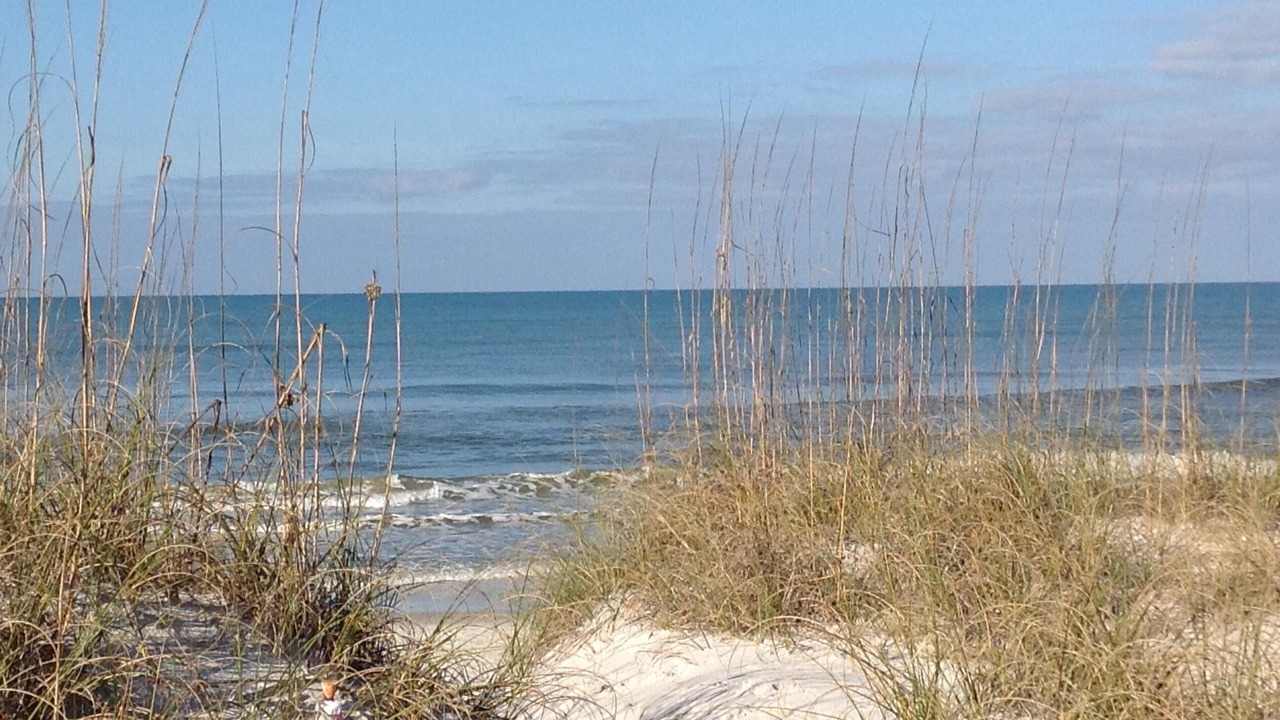 Photo of Others in Cape San Blas