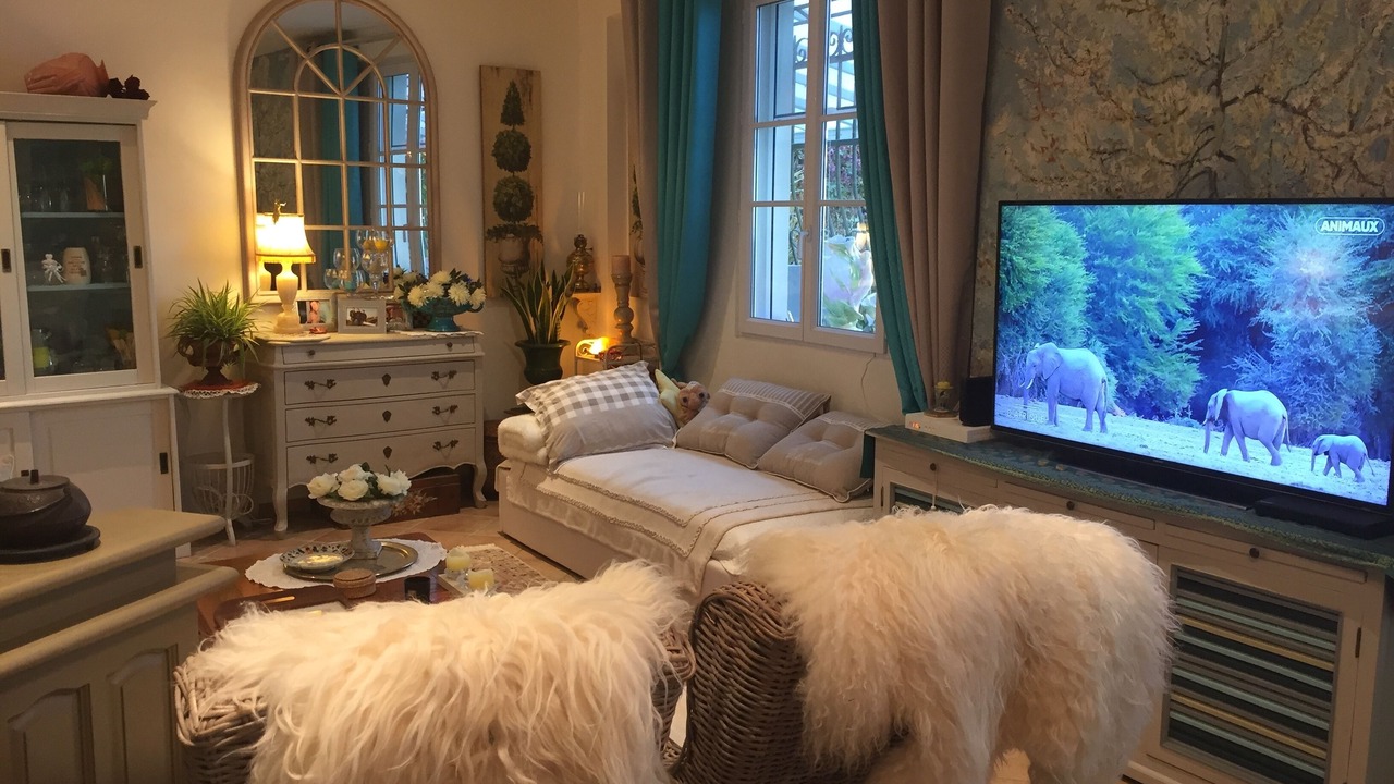 Photo of Livingroom in Menton