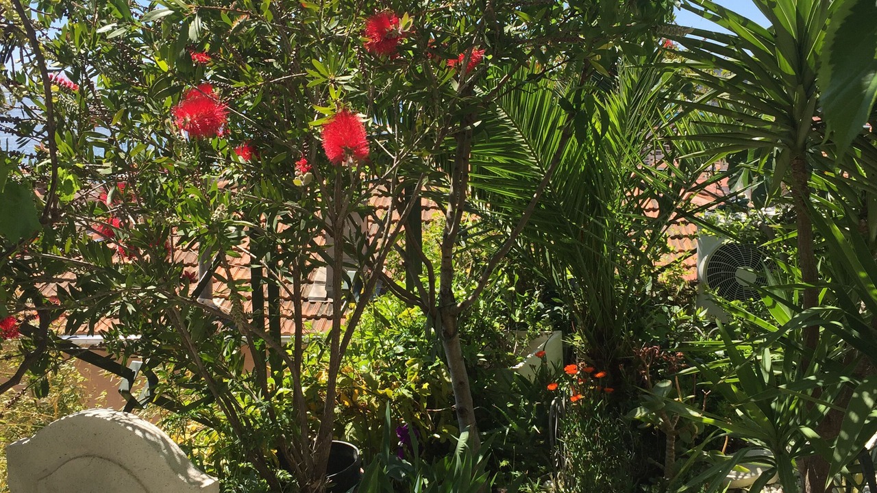 Photo of Outdoor in Menton