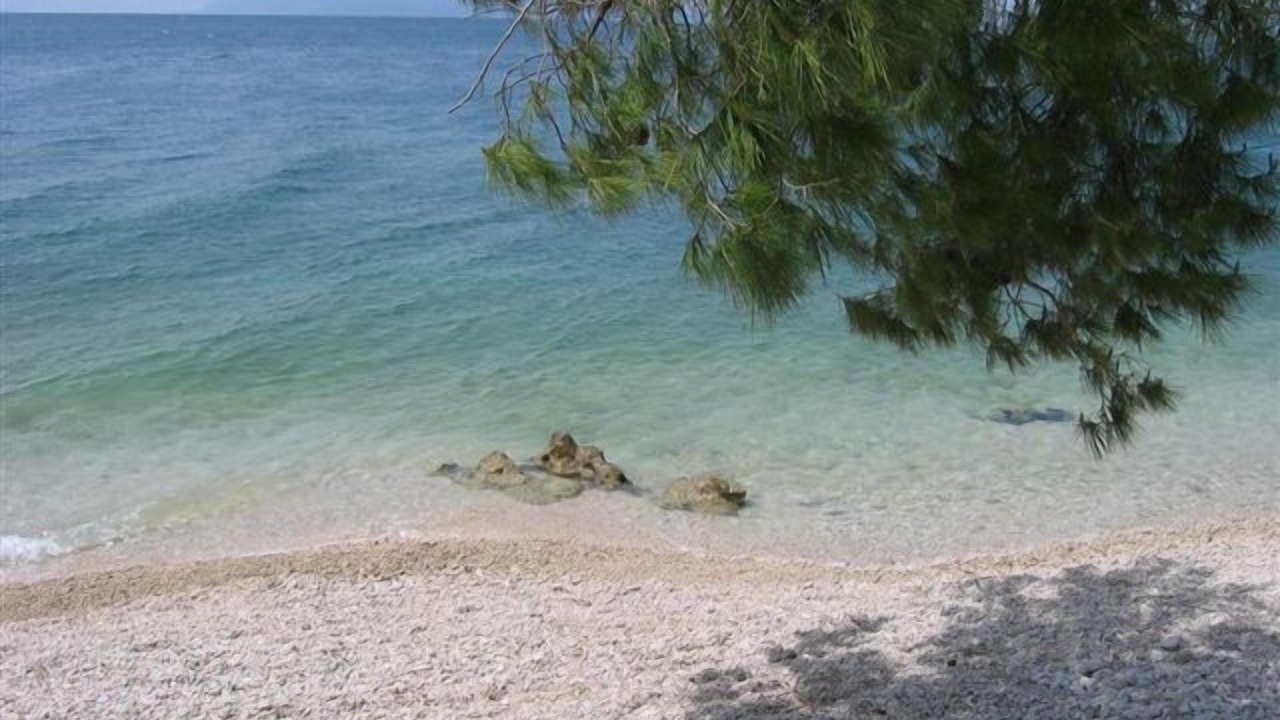 Photo of Others in Podgora