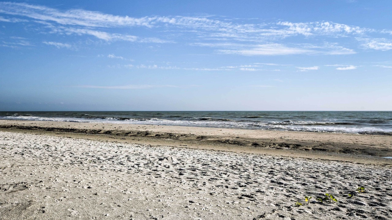 Photo of Others in Sanibel
