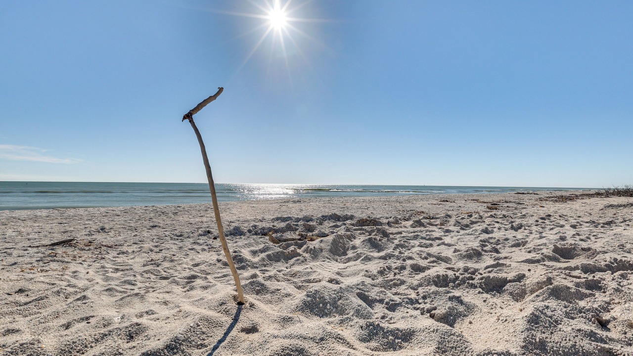 Photo of Others in Sanibel
