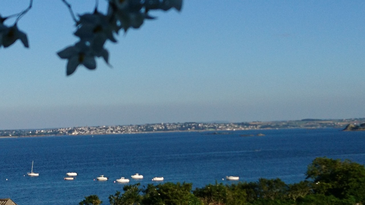 Photo of Others in Roscoff
