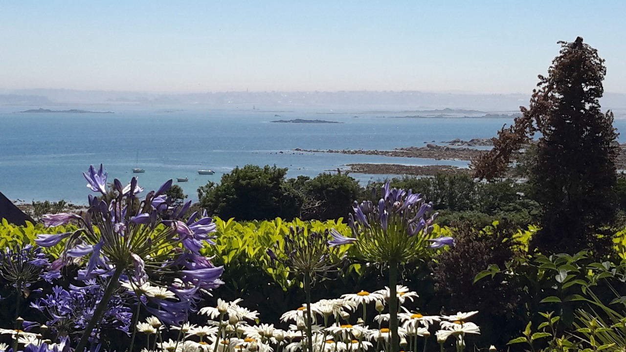 Photo of Outdoor in Roscoff