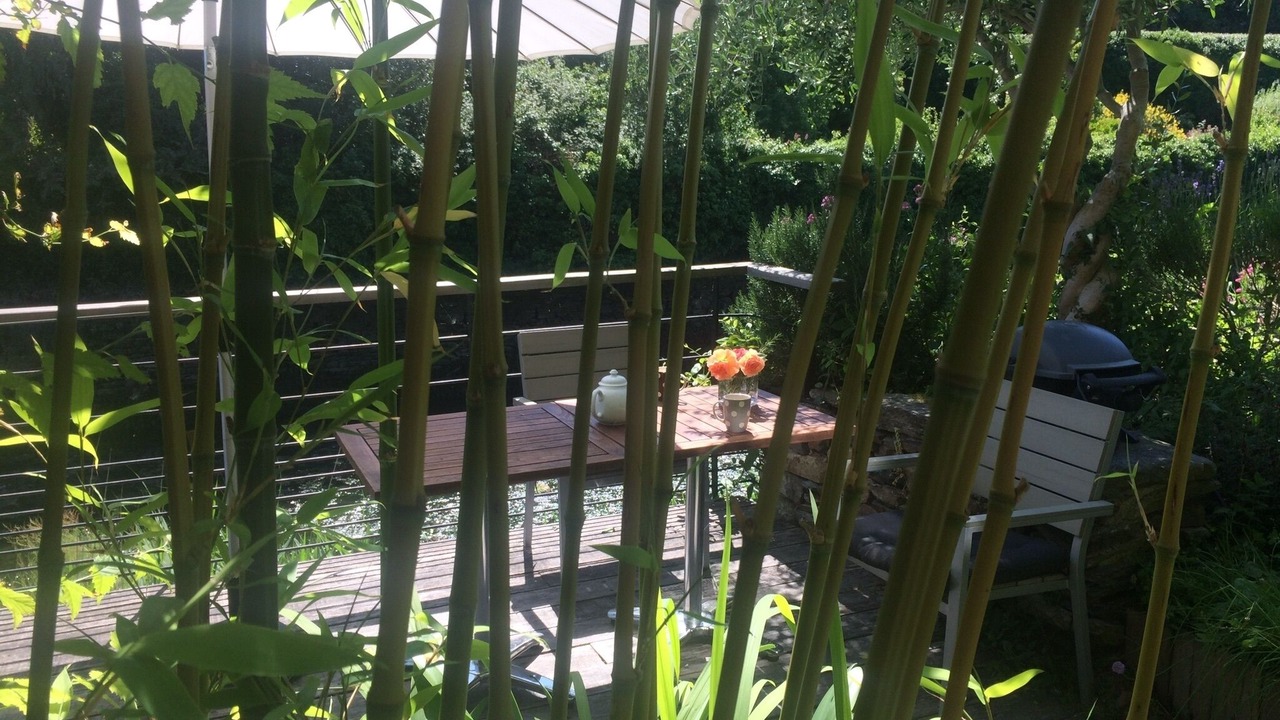 Photo of Outdoor in La Roche-Derrien
