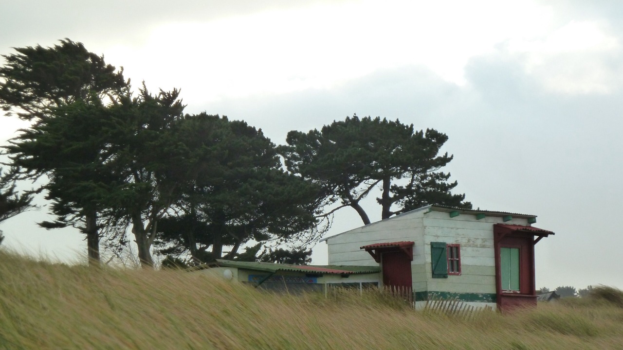Photo of Outdoor in La Roche-Derrien