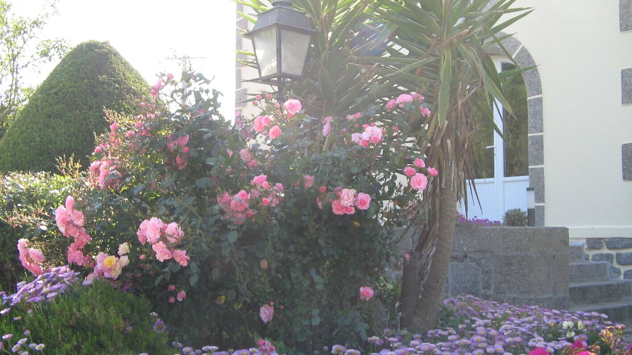Photo of Outdoor in Saint-Pol-de-Leon