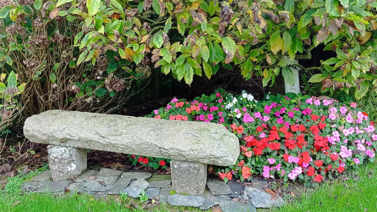 Photo of Outdoor in Saint-Pol-de-Leon