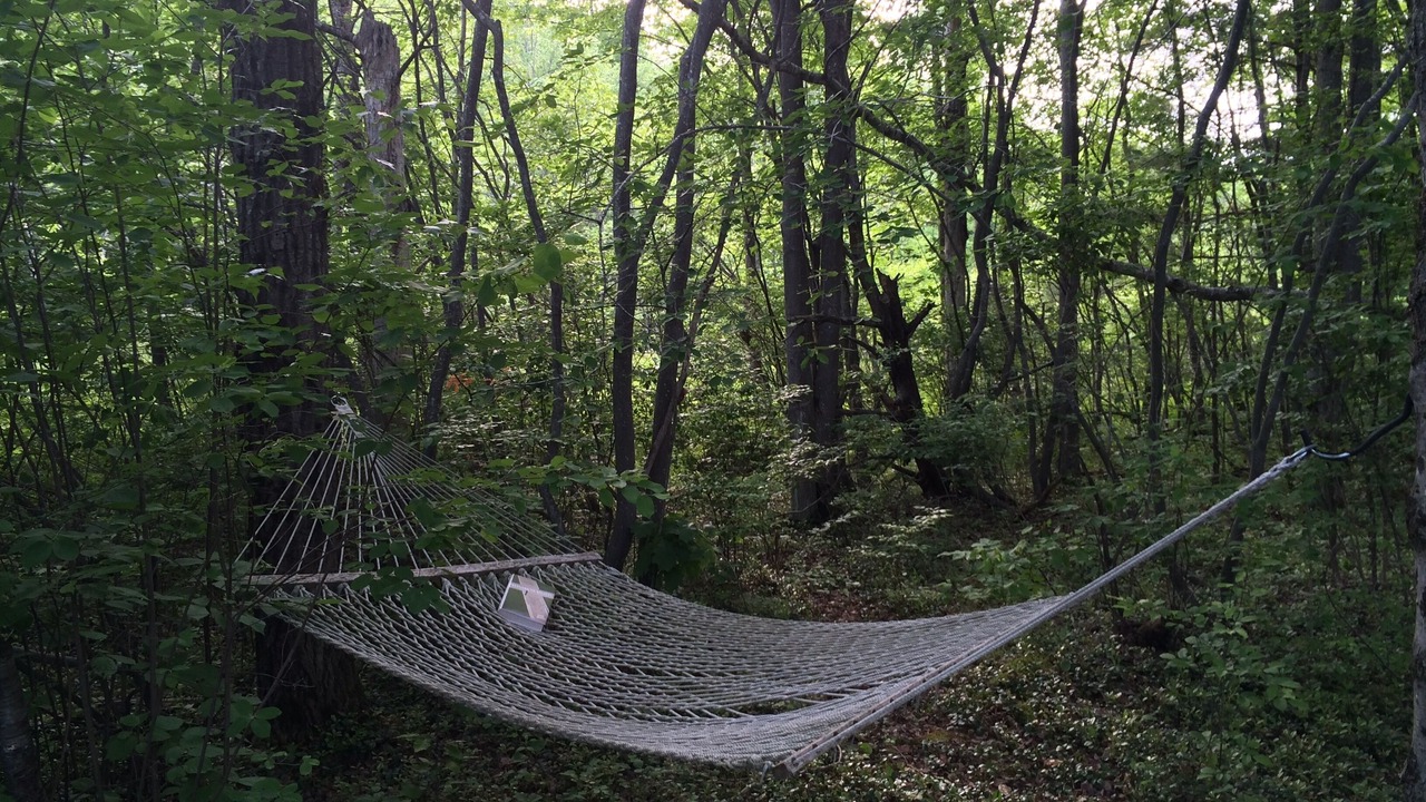 Photo of Outdoor in Washington