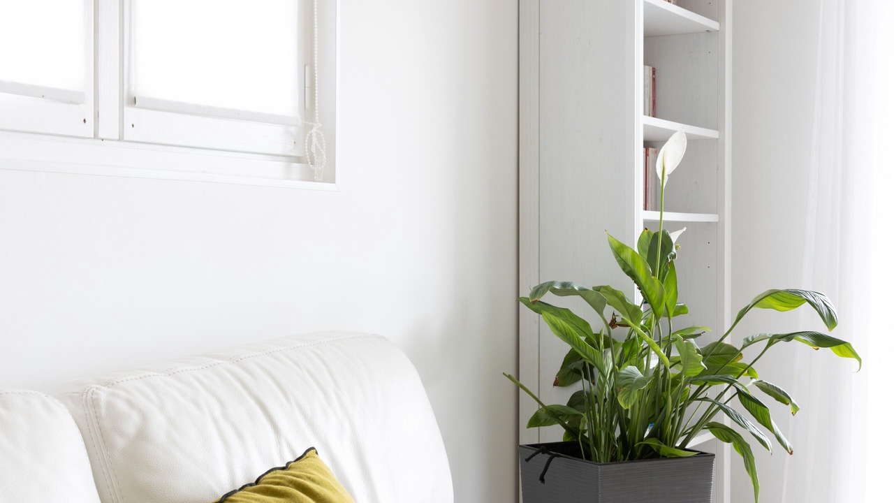 Photo of Livingroom in Ploudalmezeau
