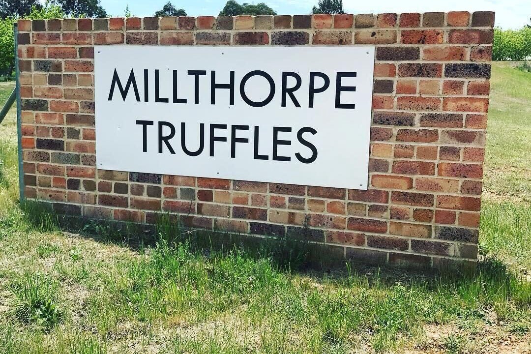 Photo of Others in Millthorpe