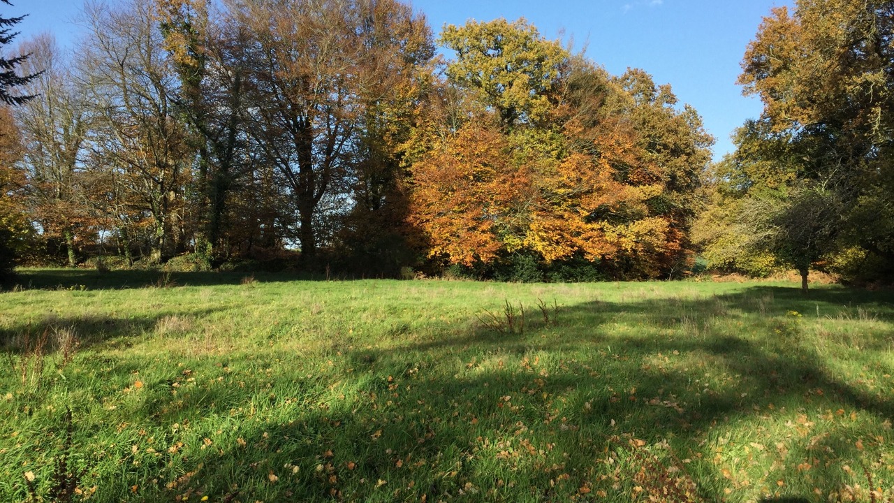 Photo of Outdoor in Ploerdut