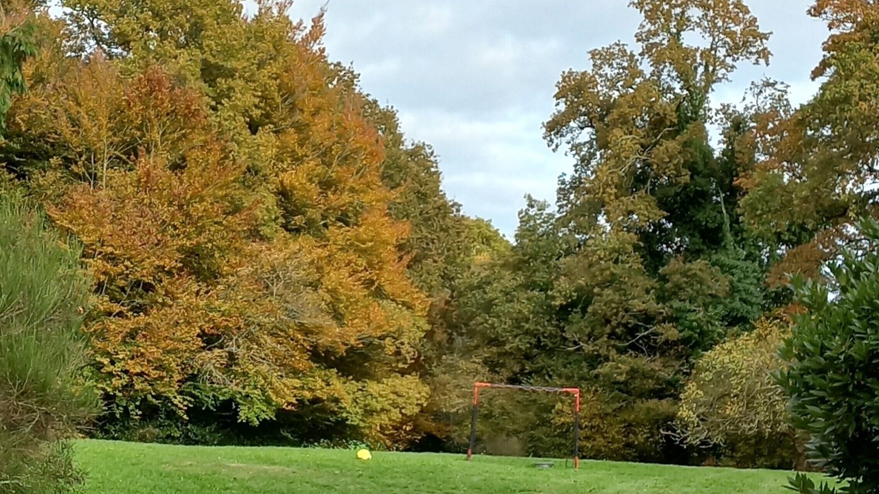 Photo of Outdoor in Ploerdut
