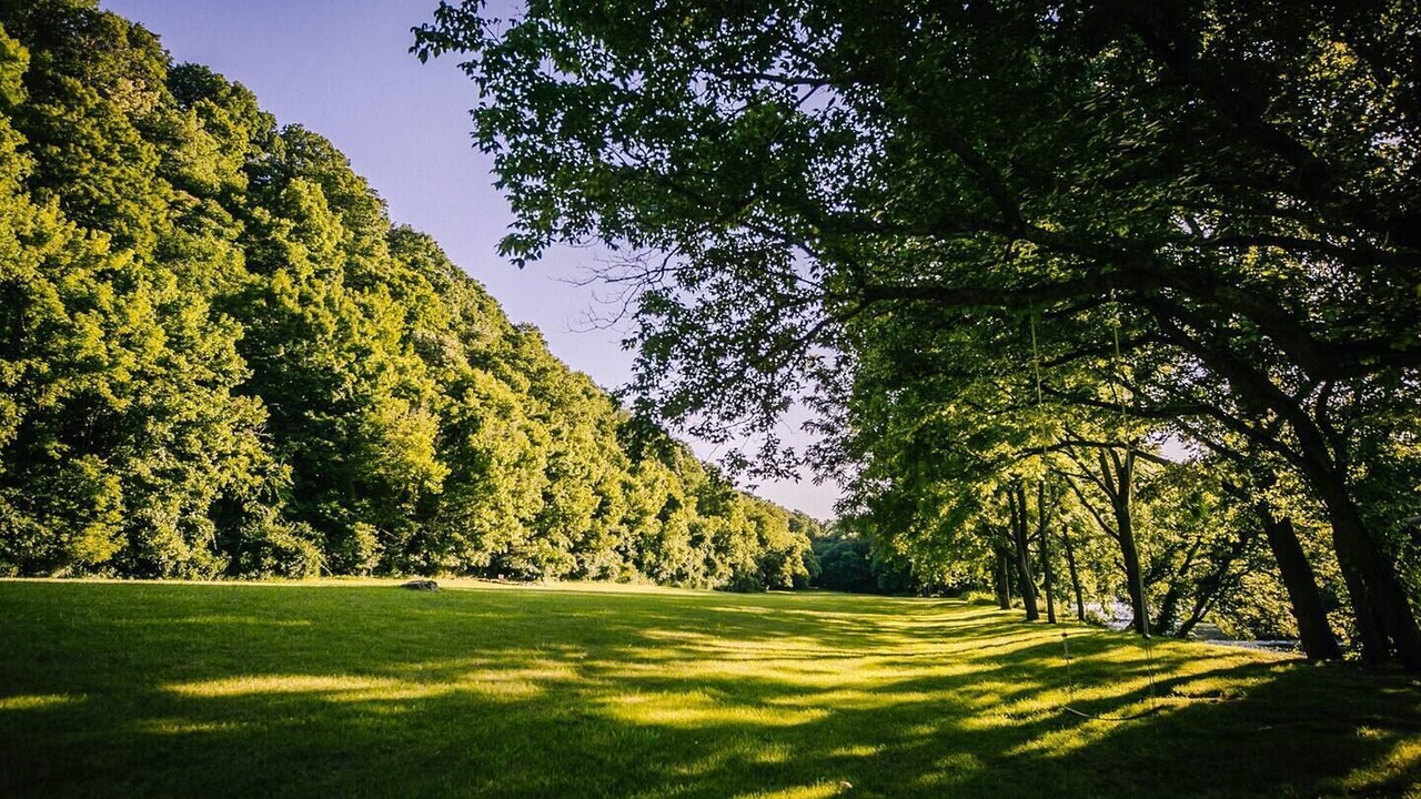 Photo of Others in Hiwassee