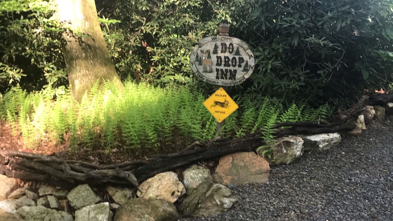 Photo of Outdoor in Fancy Gap