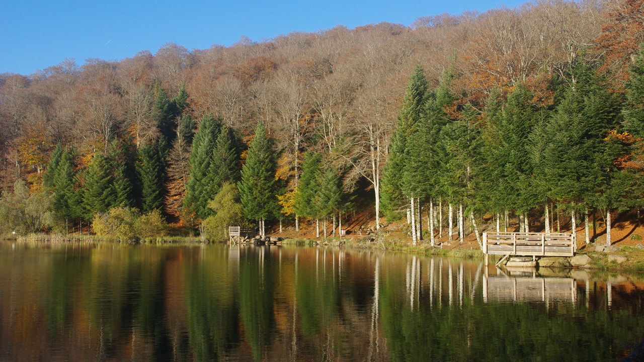 Photo of Outdoor in Picherande