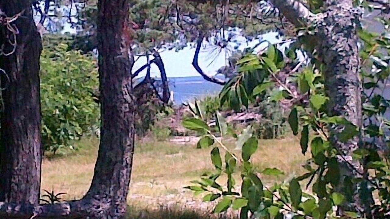 Photo of Outdoor in South Jamesport