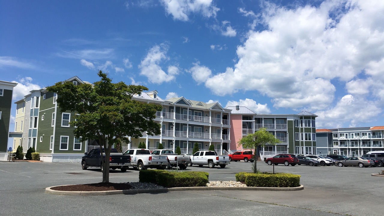 Photo of Outdoor in Chincoteague