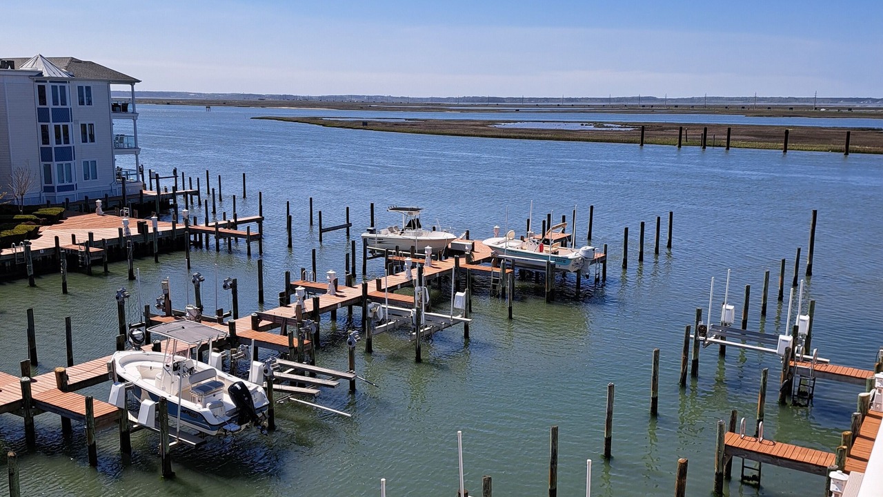 Photo of Others in Chincoteague