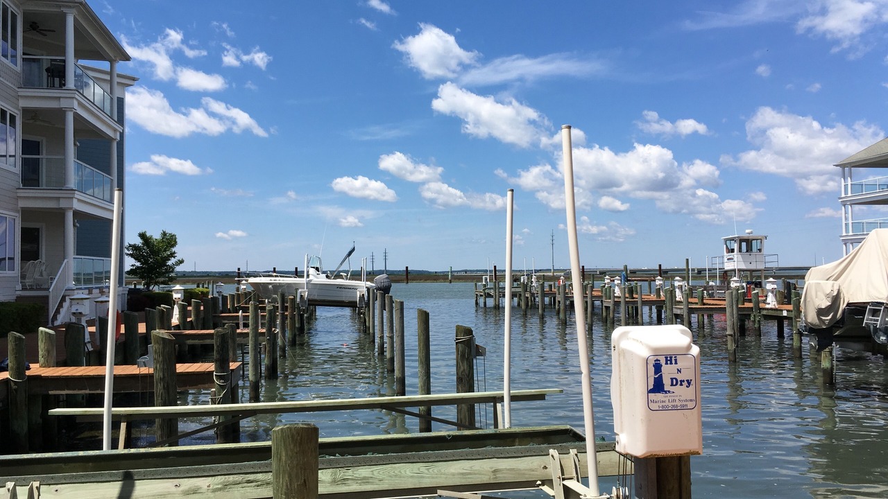 Photo of Others in Chincoteague