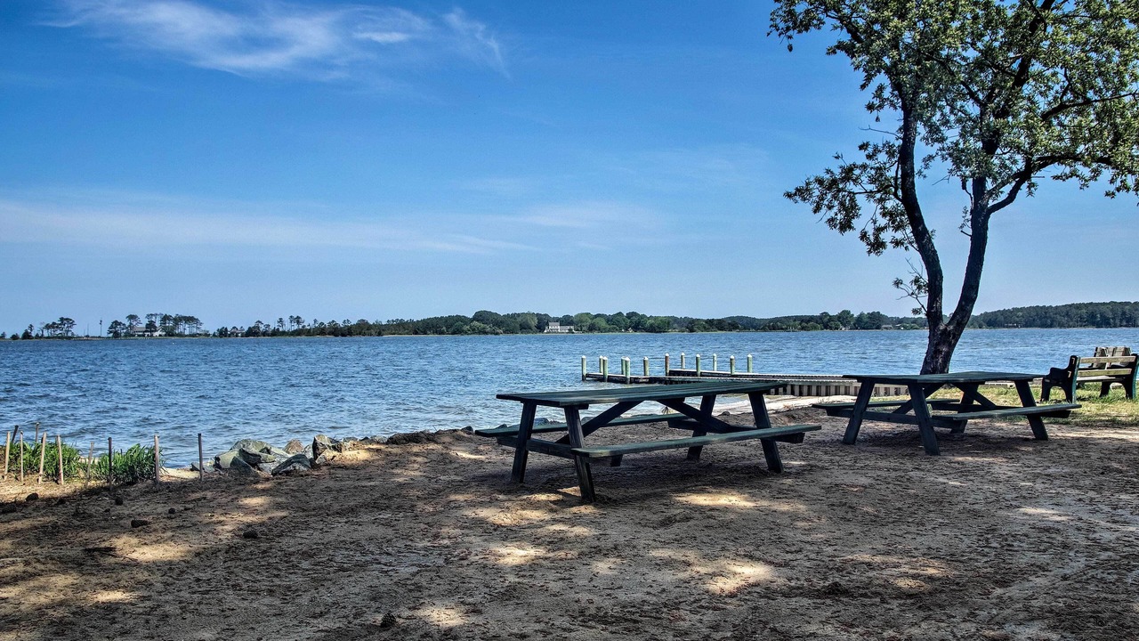 Photo of Outdoor in Davis Wharf