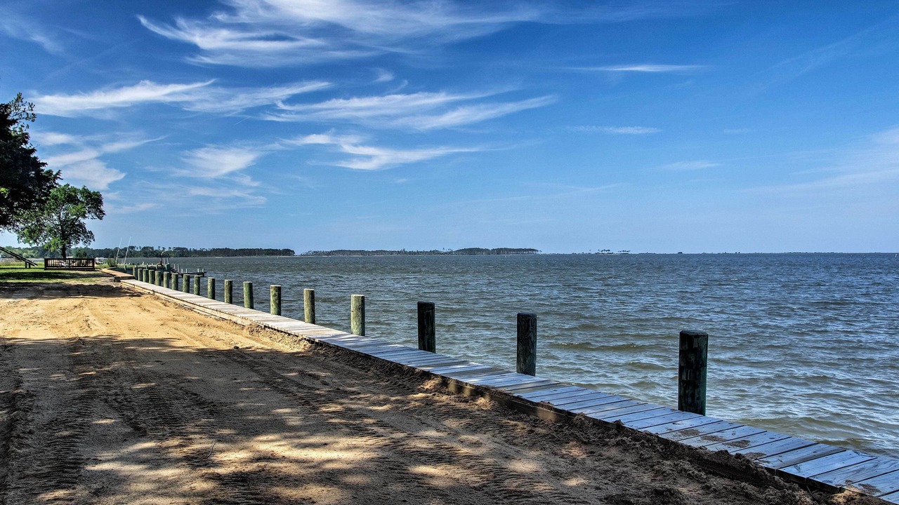 Photo of Others in Davis Wharf