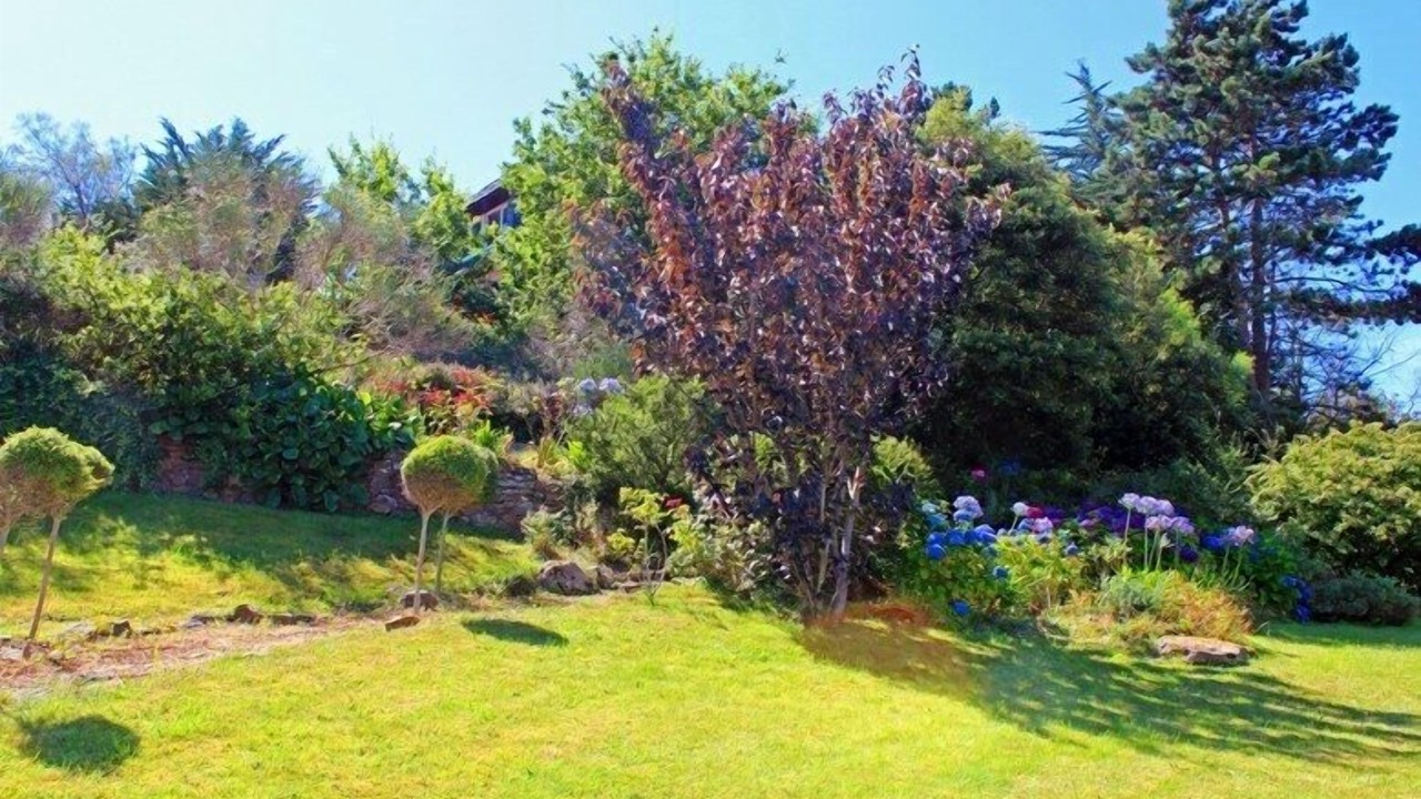 Photo of Outdoor in Cancale